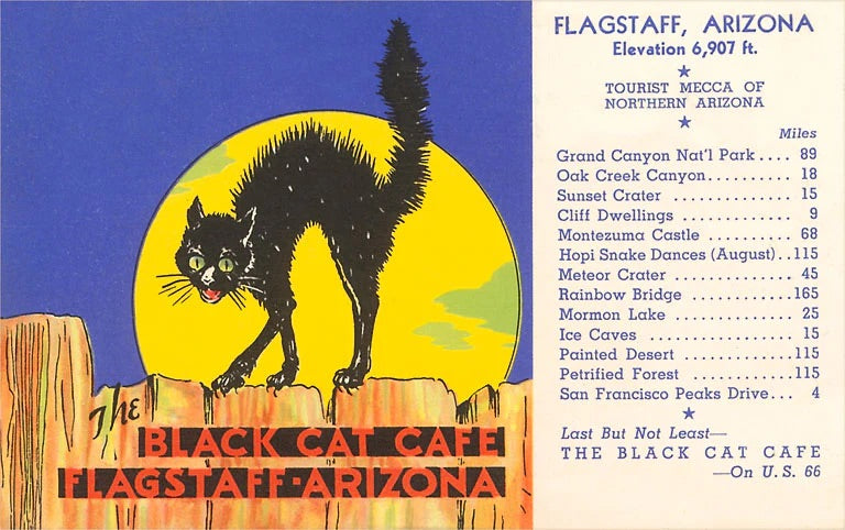 Barry’s Pick — The Black Cat Café