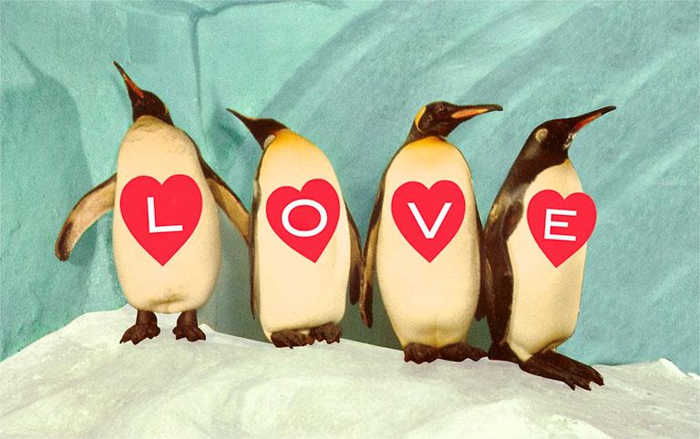 The Art of the Bestselling Romantic Cards – 5 Images and the Stories Behind Them