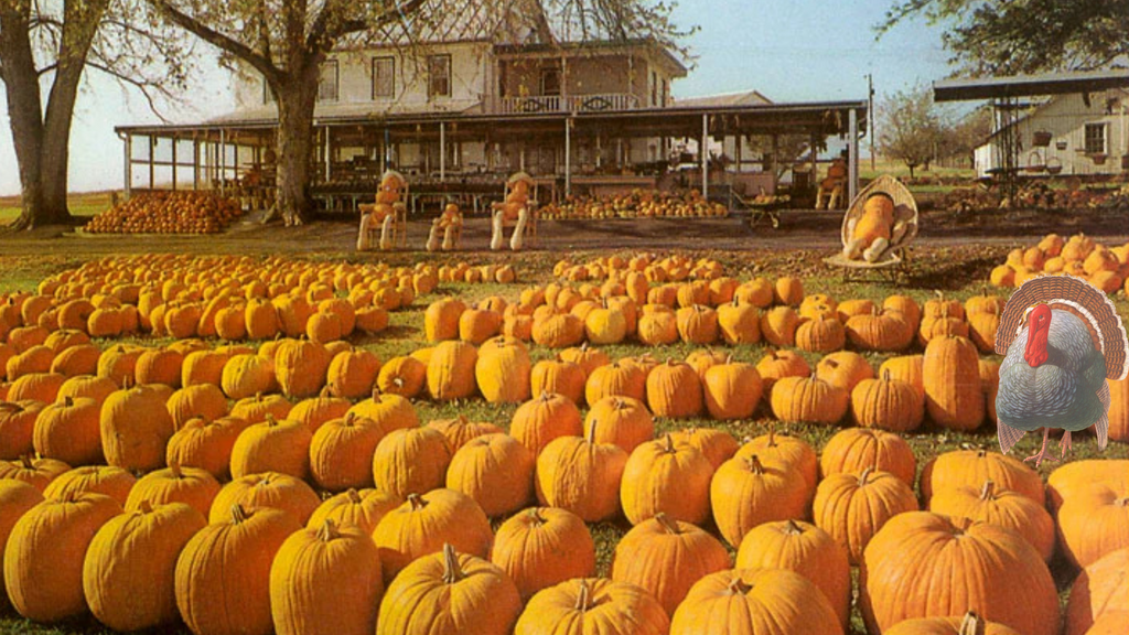 5 Steps to Subtly Transition from Halloween to the Holidays