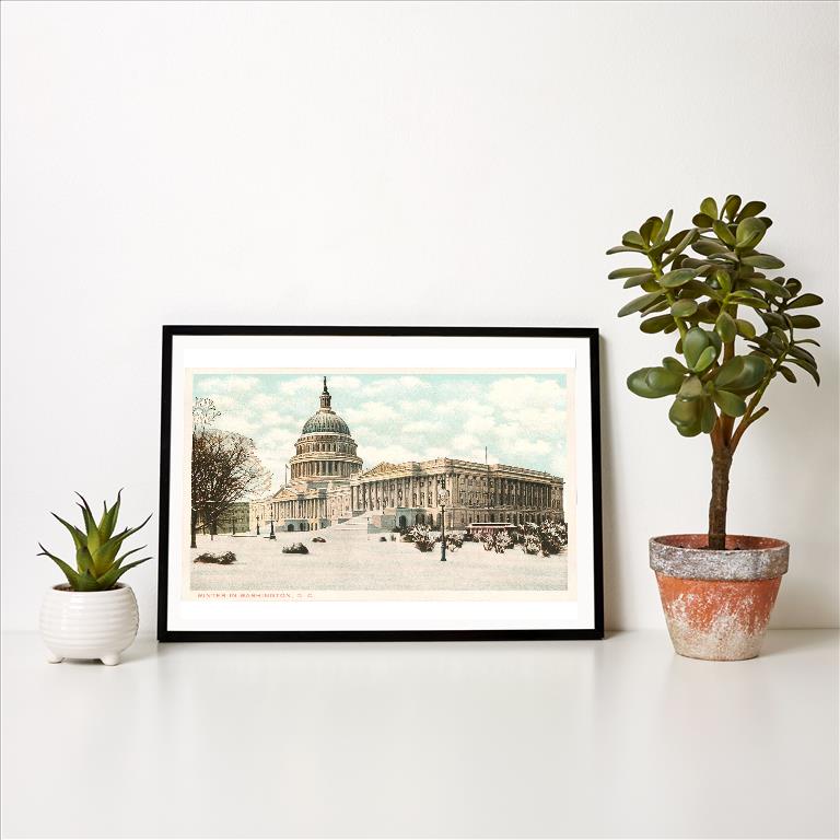 Art Print DC-237