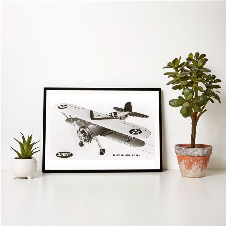 Art Print AV-79