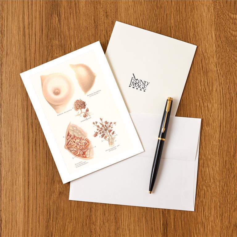 Greeting Card AY-218