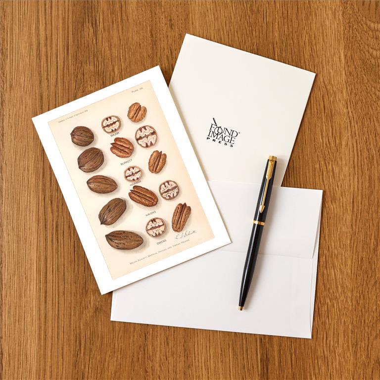 Greeting Card FO-119