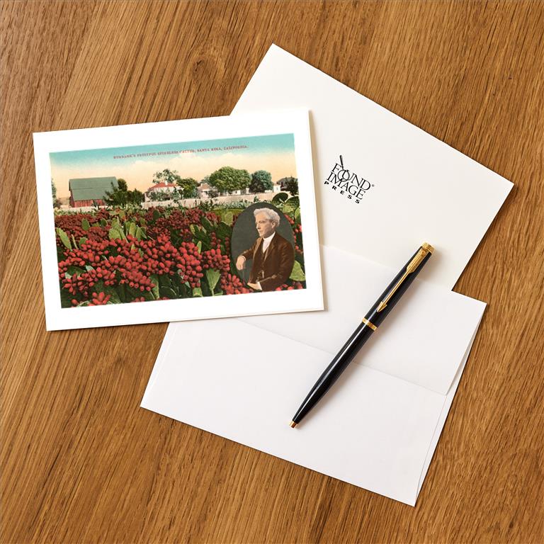 Greeting Card BA-189