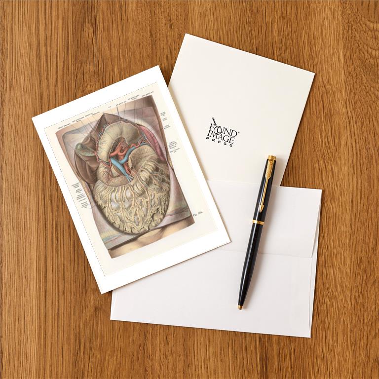 Greeting Card AY-185