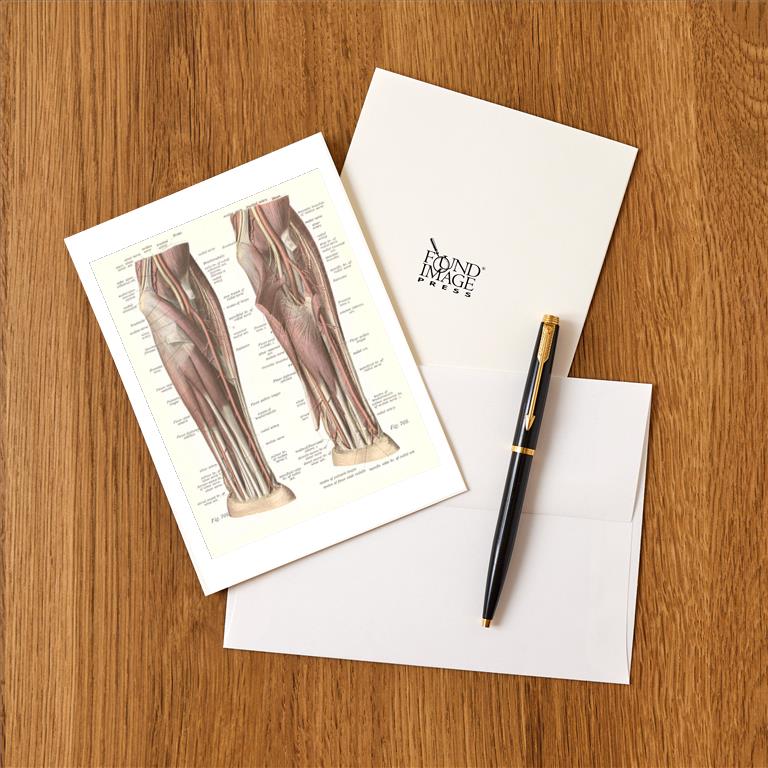 Greeting Card AY-158