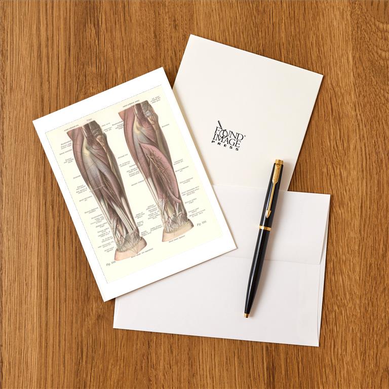 Greeting Card AY-157