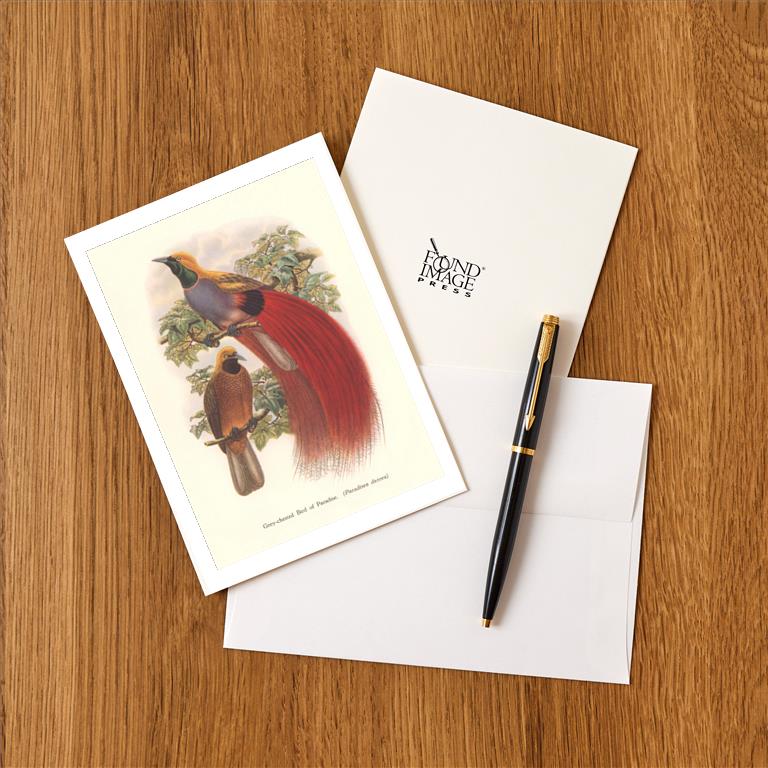 Greeting Card BD-529