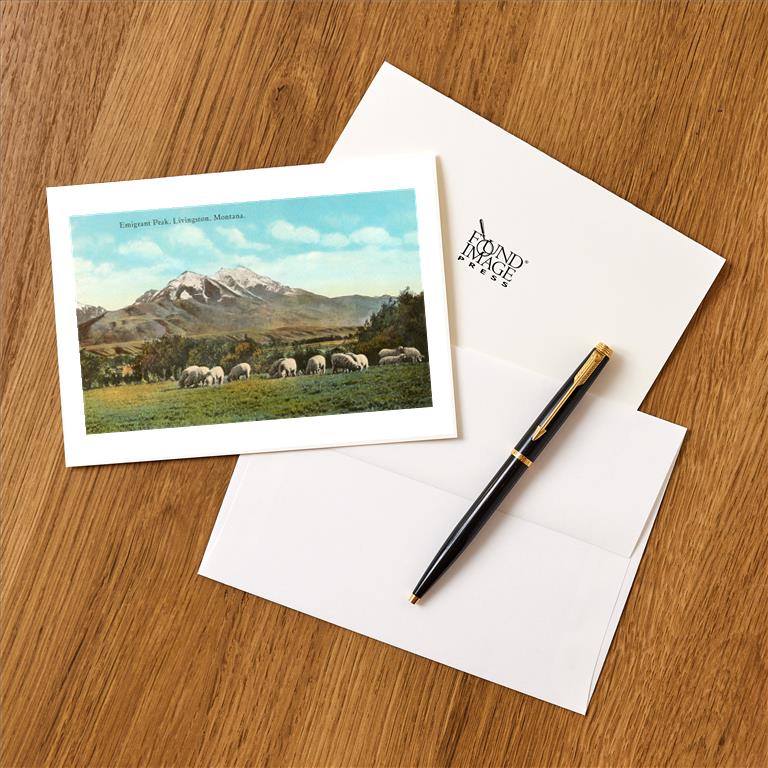 Greeting Card MT-195