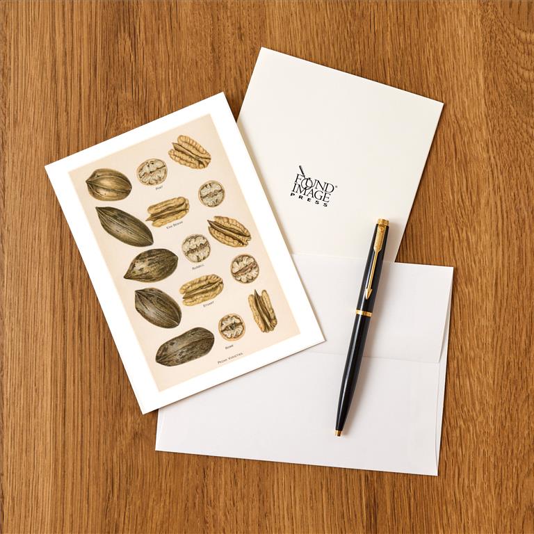 Greeting Card FO-272