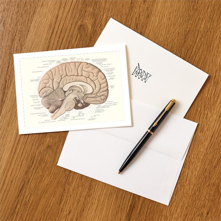 Greeting Card AY-135