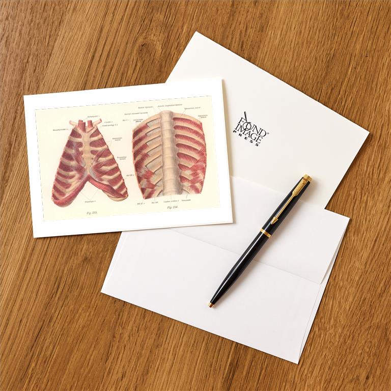 Greeting Card AY-186