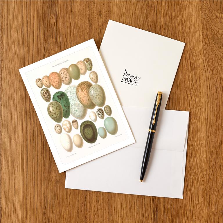 Greeting Card BD-132