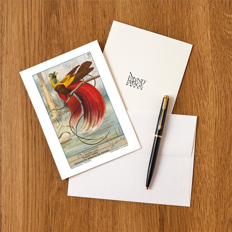 Greeting Card BD-262