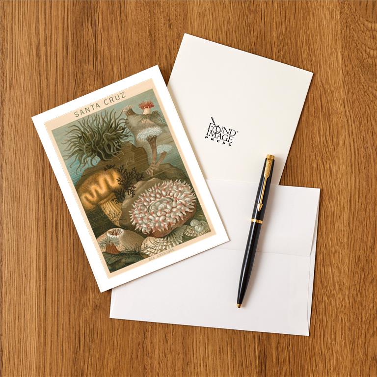 Greeting Card CA-1157