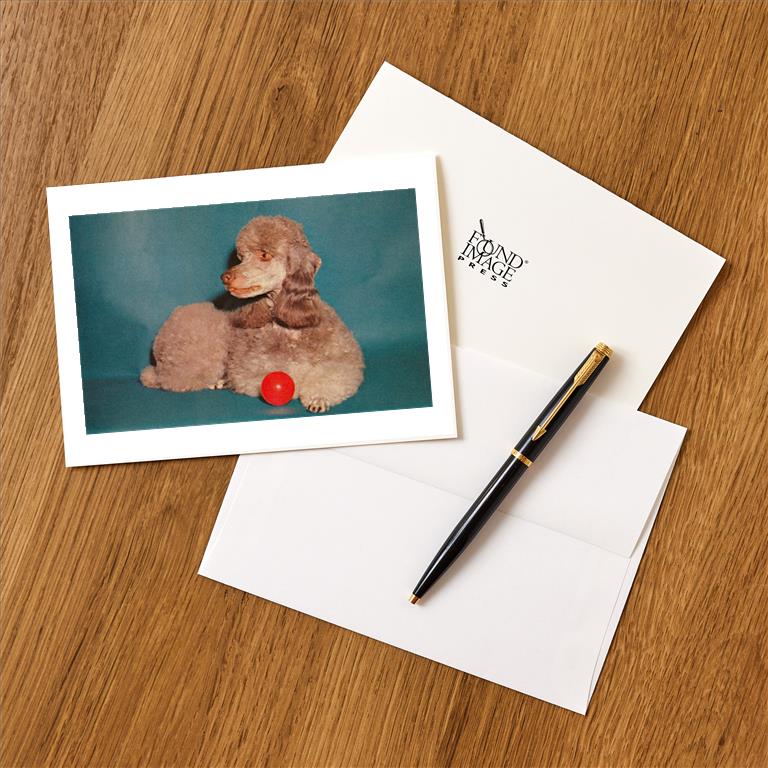 Greeting Card DG-128