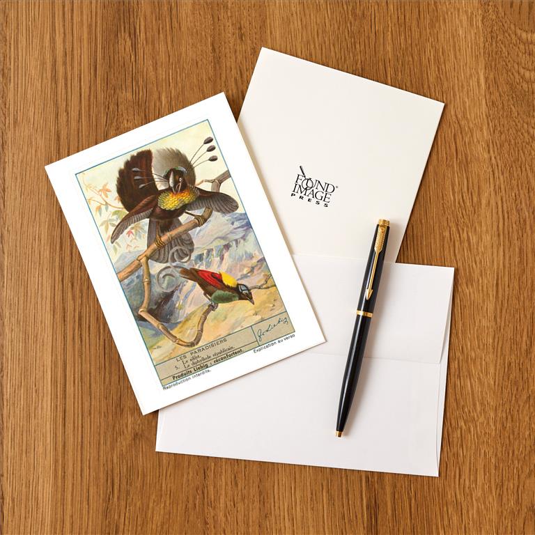 Greeting Card BD-264