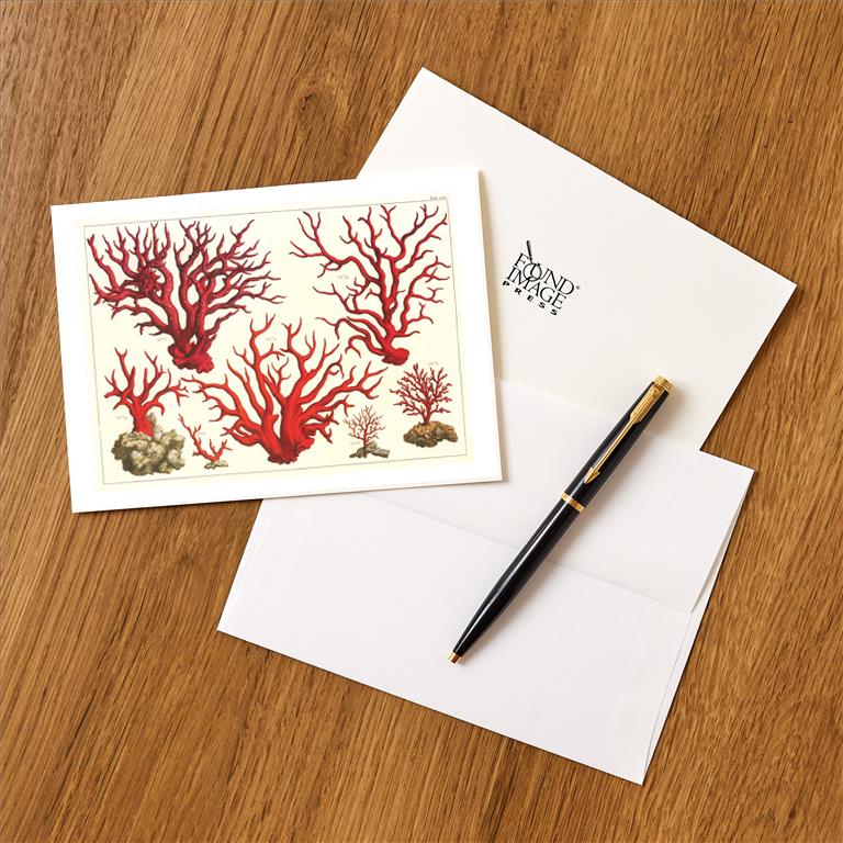 Greeting Card TS-239