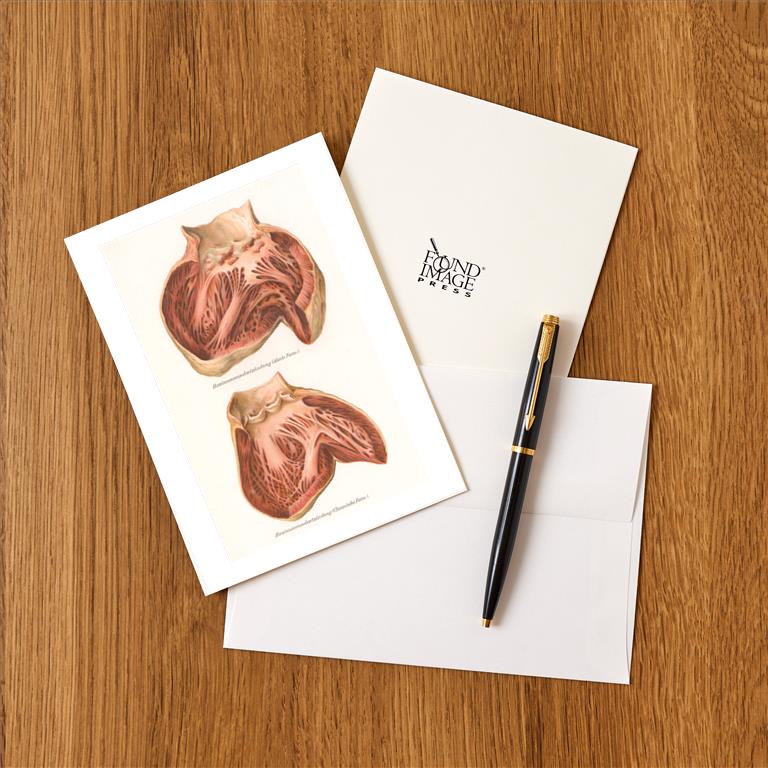 Greeting Card AY-211