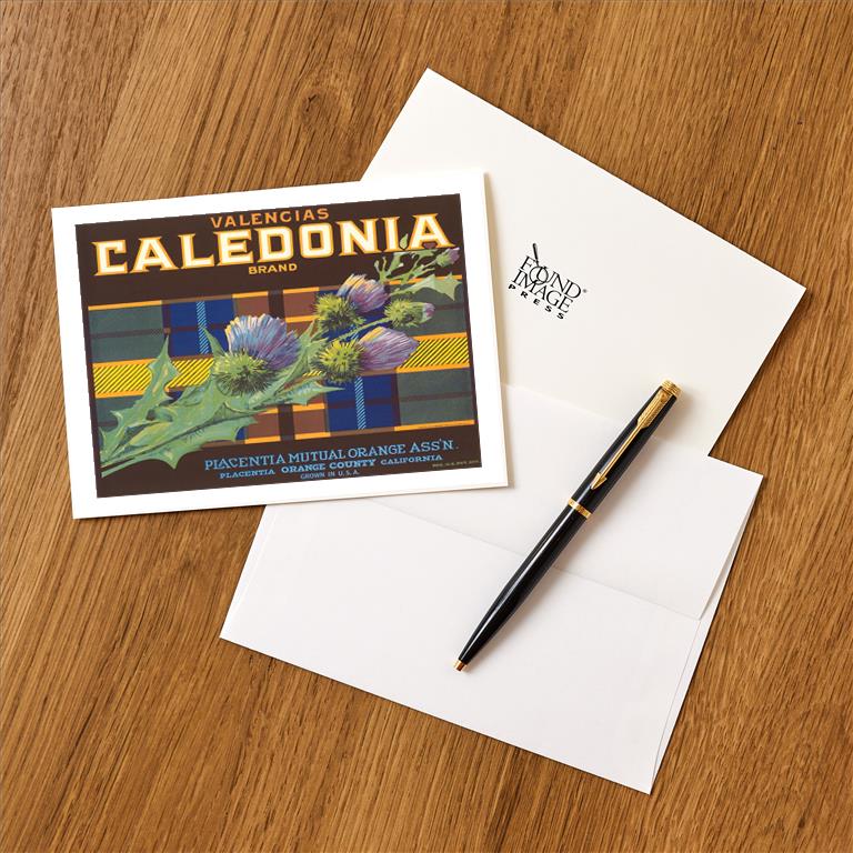 Greeting Card FR-237