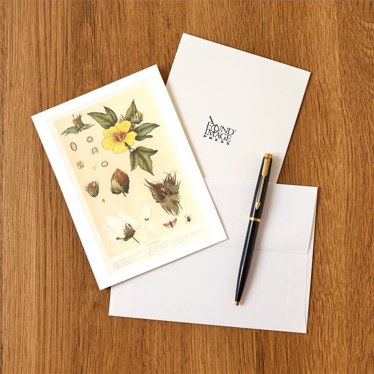 Greeting Card FN-222