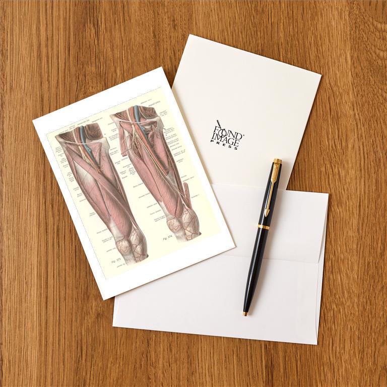 Greeting Card AY-164