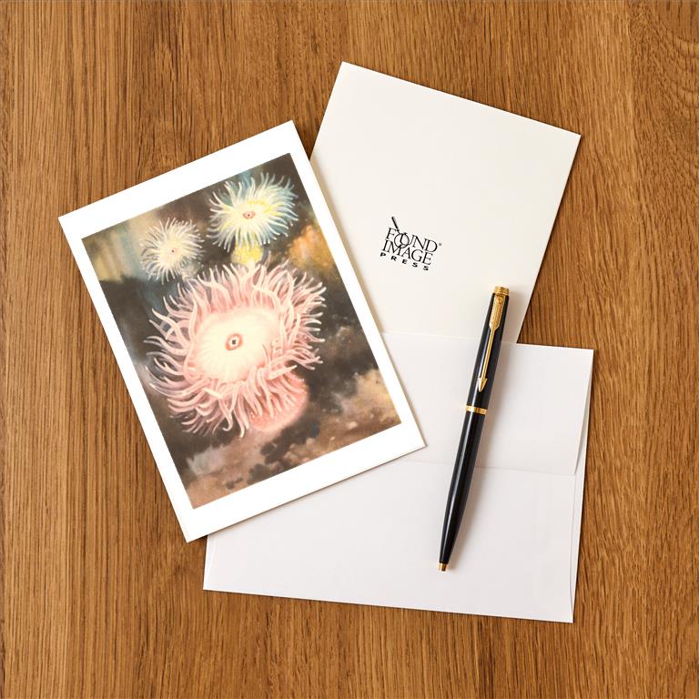 Greeting Card TS-247