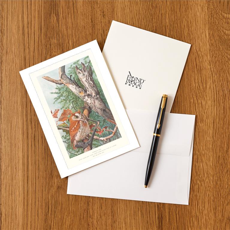 Greeting Card BD-493