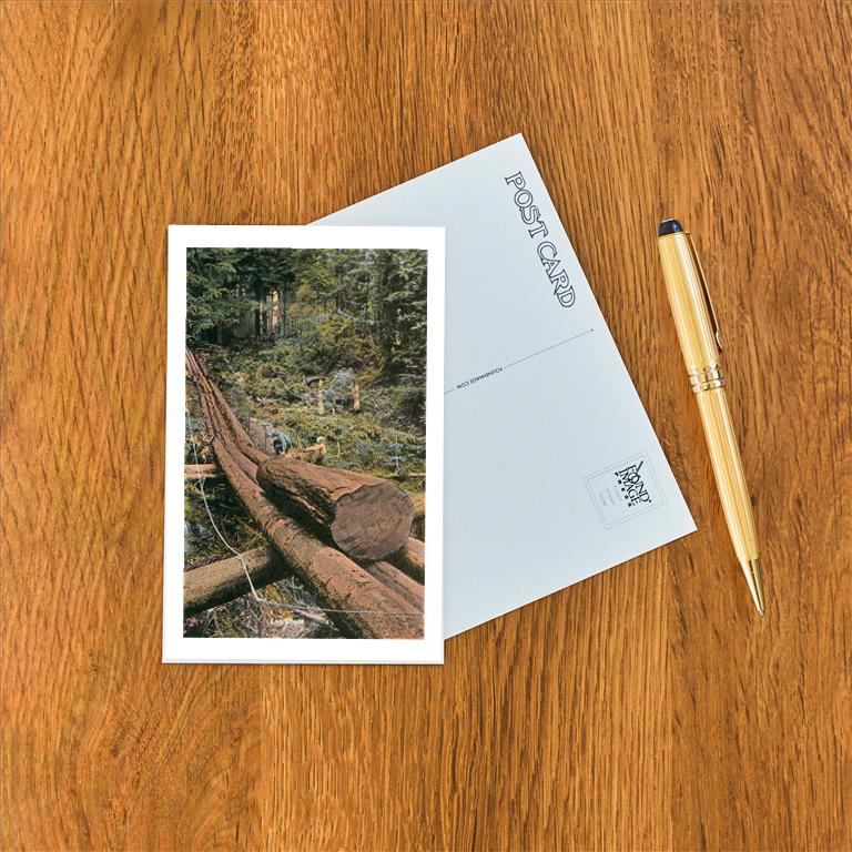 Postcard LG-24