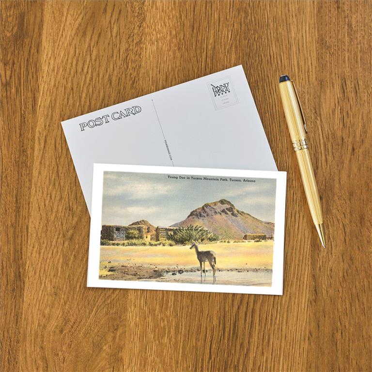 Postcard AZ-104