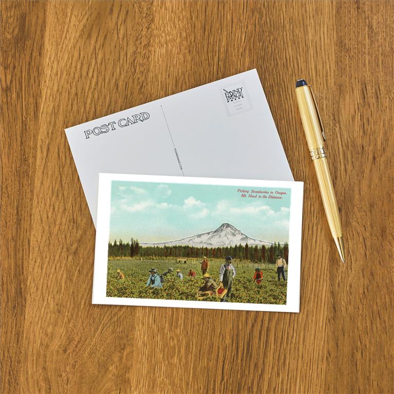 Postcard OR-85