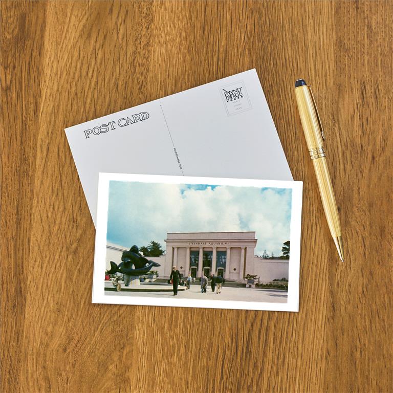 Postcard SF-256