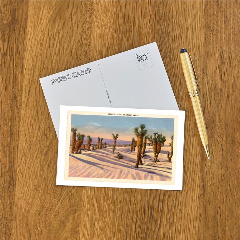 Postcard CD-73