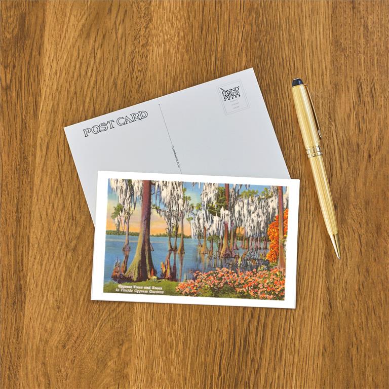 Postcard FL-101