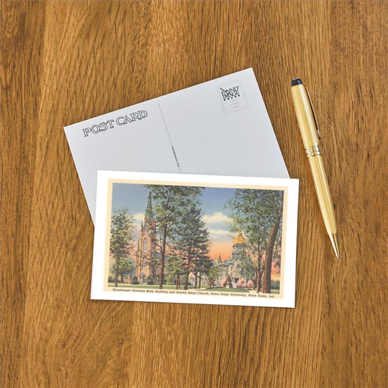 Postcard IN-306