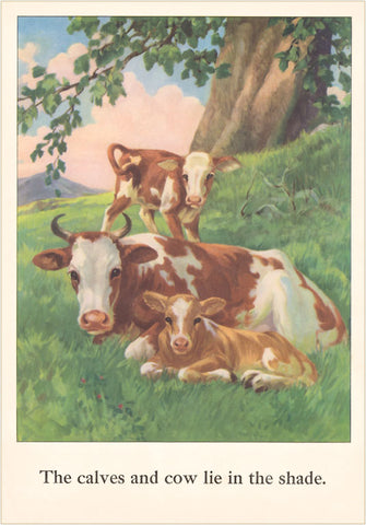 FKF: Cows